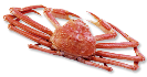 Zuwai King crab