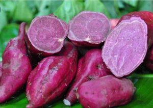 มันม่วง